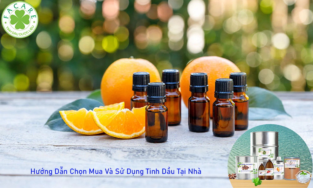 Hướng Dẫn Chọn Mua Và Sử Dụng Tinh Dầu Tại Nhà