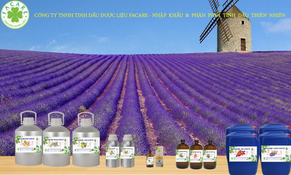 tinh dầu oải hương lavender nguyên chất