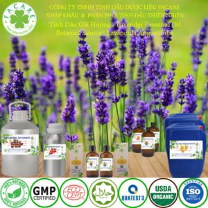 tinh dầu oải hương lavender Oil 1 lít