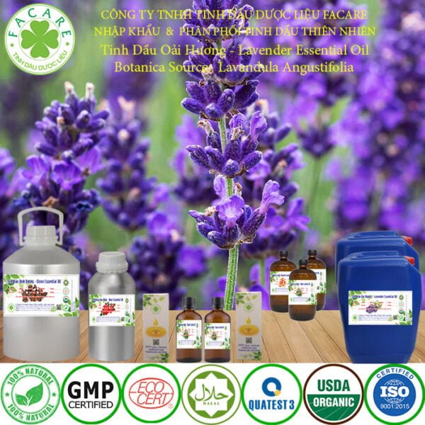 tinh dầu oải hương lavender Oil 5 lít