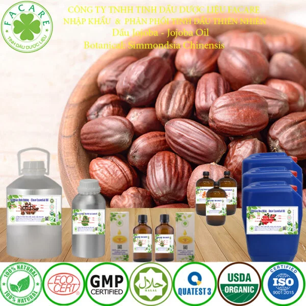 Tinh DẦU jojoba nguyên chất bán buôn giá sỉ