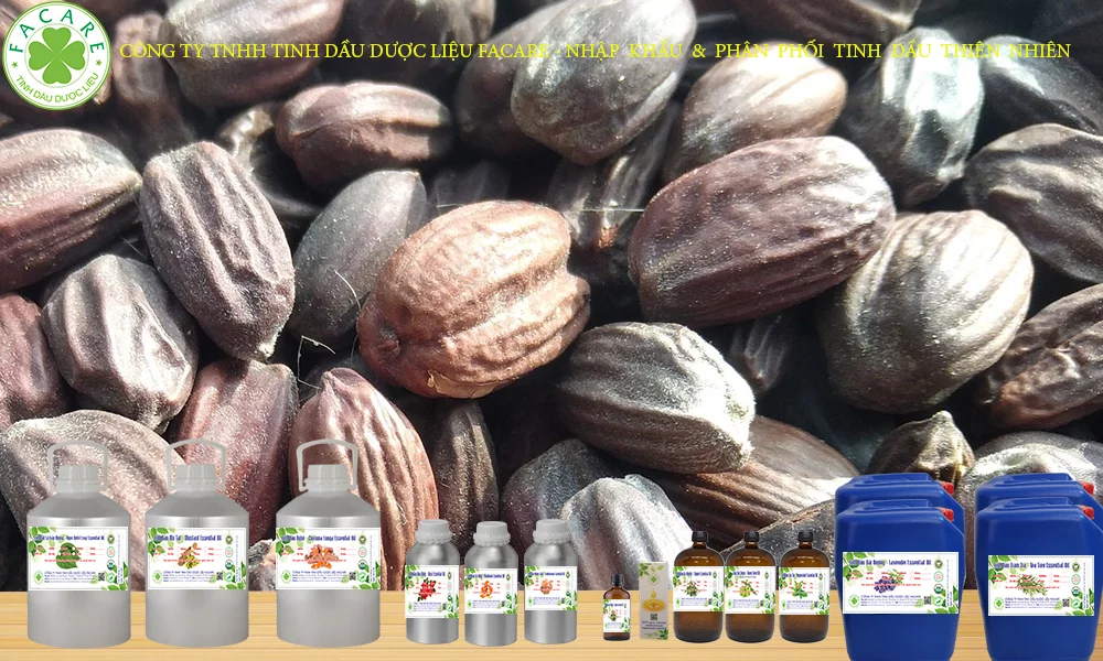 Tinh dầu jojoba ép lạnh nguyên chất