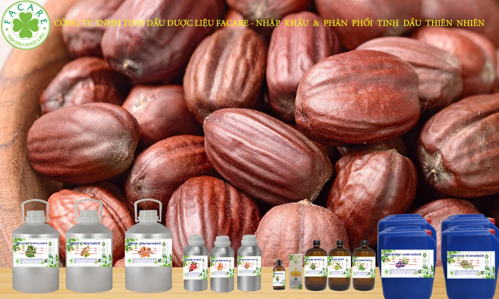 Tinh dầu jojoba nguyên chất