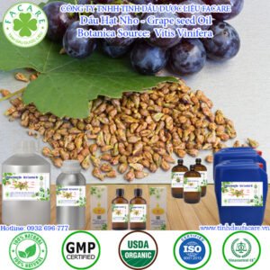 Dầu Hạt Nho – Grape seed Oil
