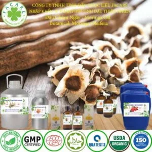 tinh dầu CHÙM NGÂY nguyên chất giá sỉ