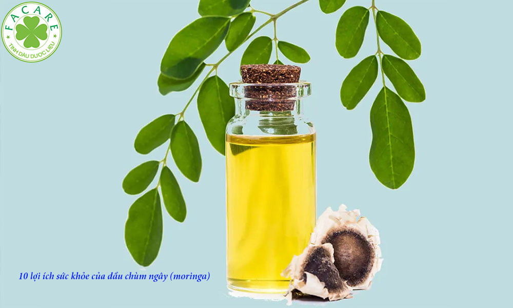 10 lợi ích sức khỏe của dầu chùm ngây (moringa) 5