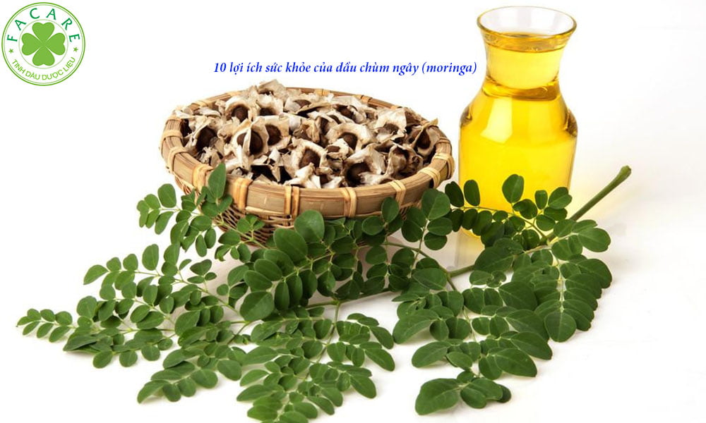 10 lợi ích sức khỏe của dầu chùm ngây (moringa) 9