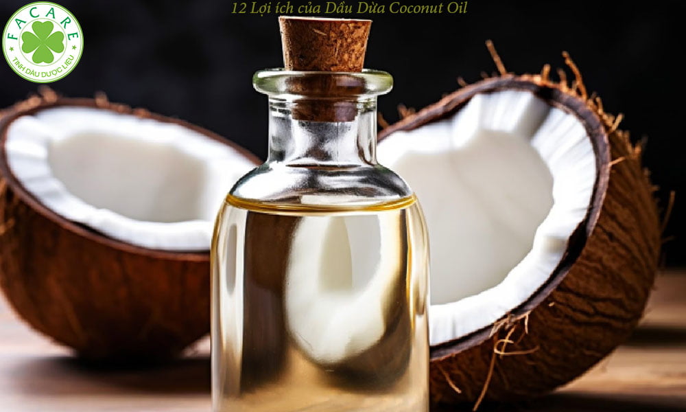 12 Lợi ích của Dầu Dừa Coconut Oil