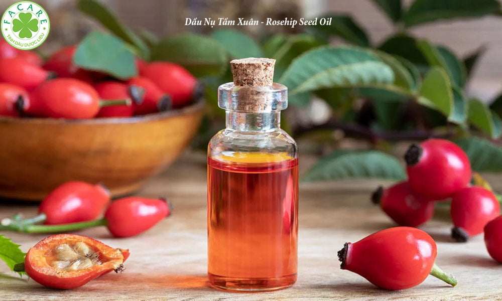Dầu Nụ Tầm Xuân - Rosehip Seed Oil 