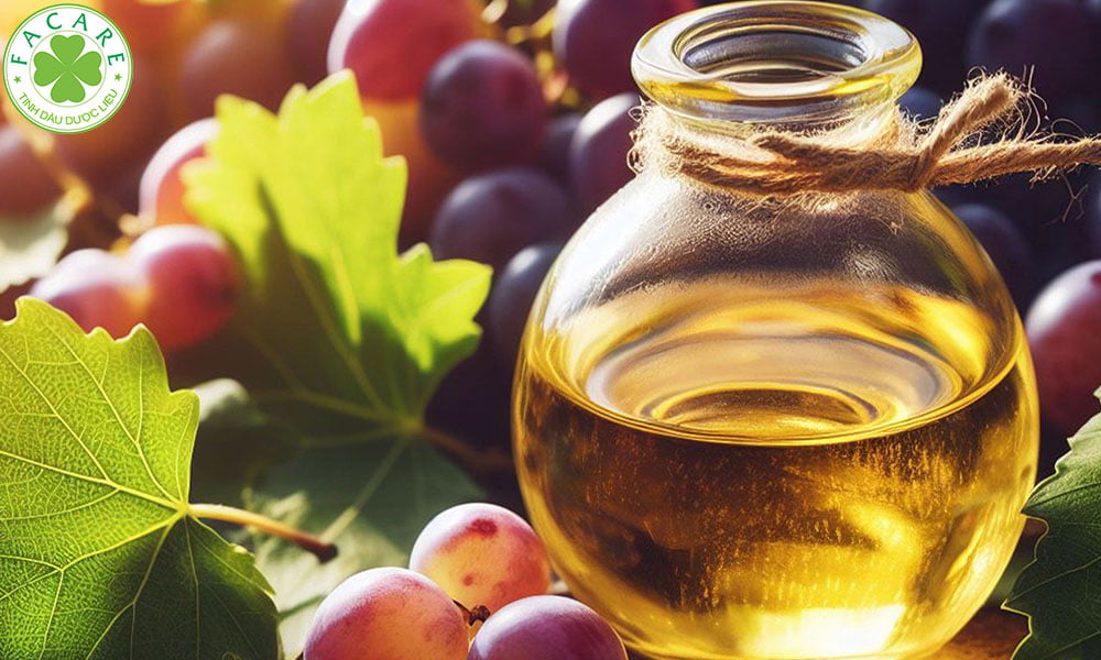 Lợi ích sức khỏe của dầu nho (grape)