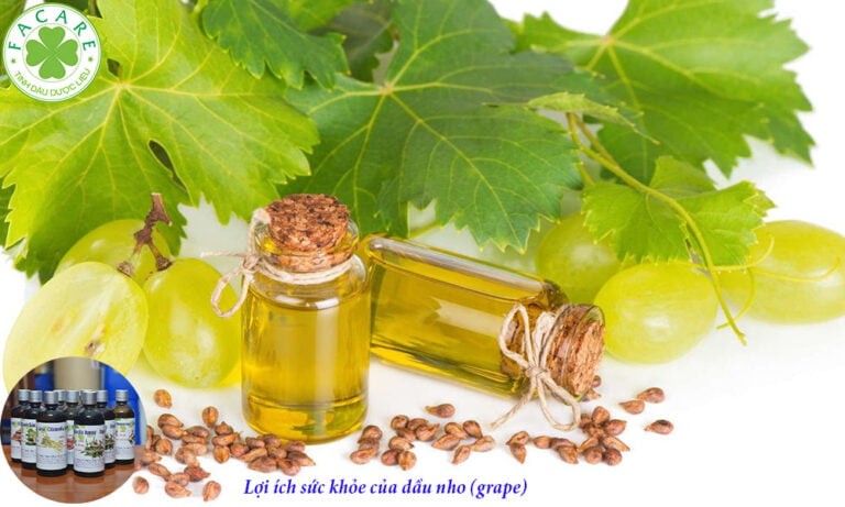 Lợi ích sức khỏe của dầu nho (grape)