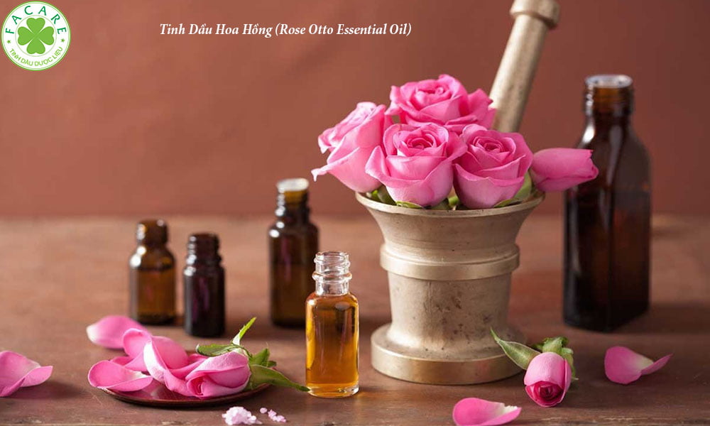 Tinh Dầu Hoa Hồng (Rose Otto Essential Oil)