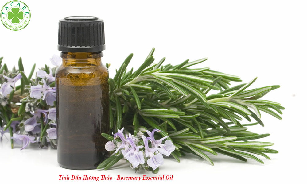 Tinh Dầu Hương Thảo - Rosemary Essential Oil