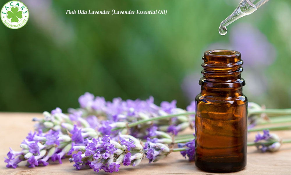 Tinh Dầu Lavender (Lavender Essential Oil)