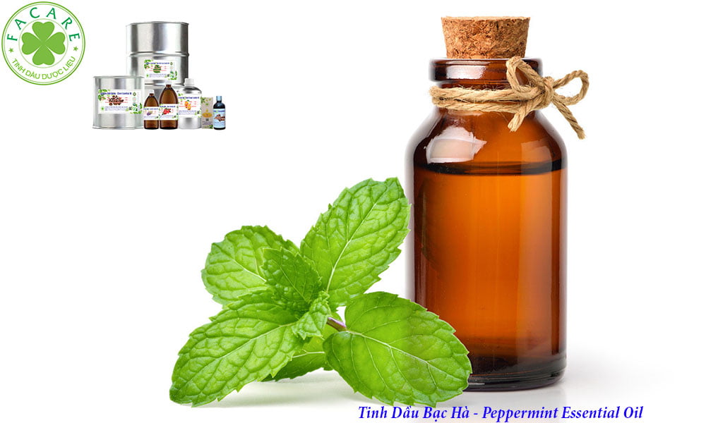 Tinh Dầu Thông Dụng Bạc Hà - Peppermint Essential Oil