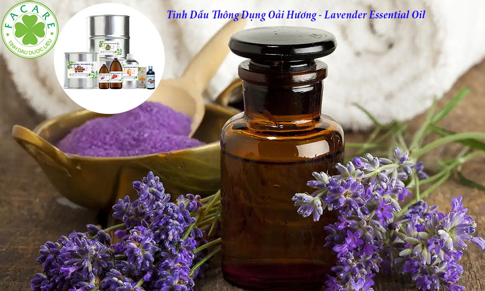 Tinh Dầu Thông Dụng Oải Hương - Lavender Essential Oil