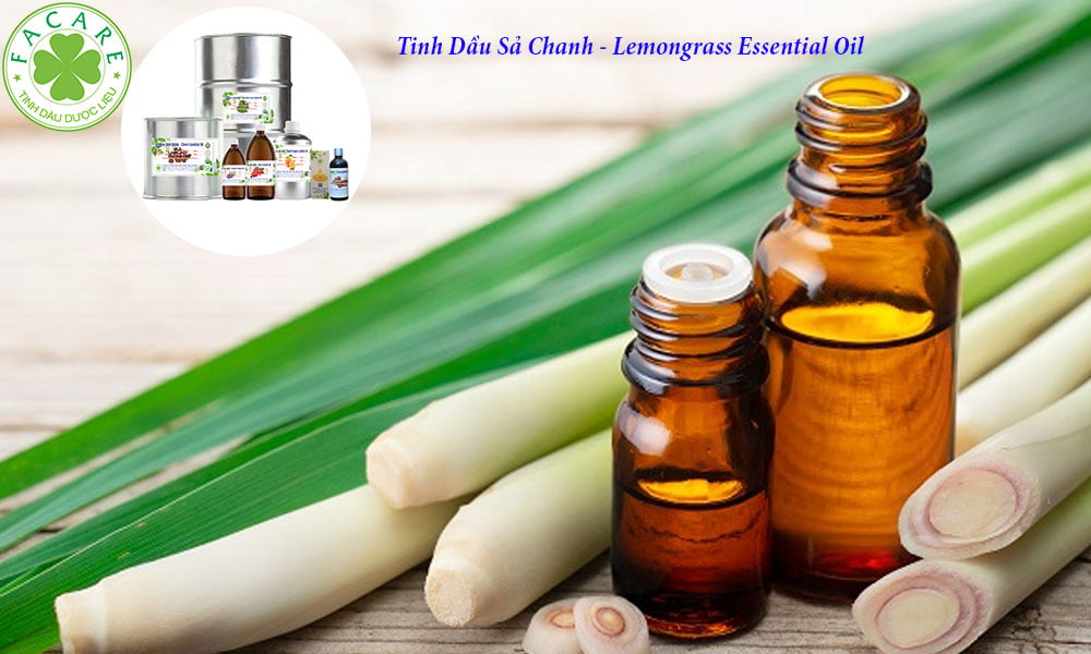 Tinh Dầu Thông Dụng Sả Chanh - Lemongrass Essential Oil