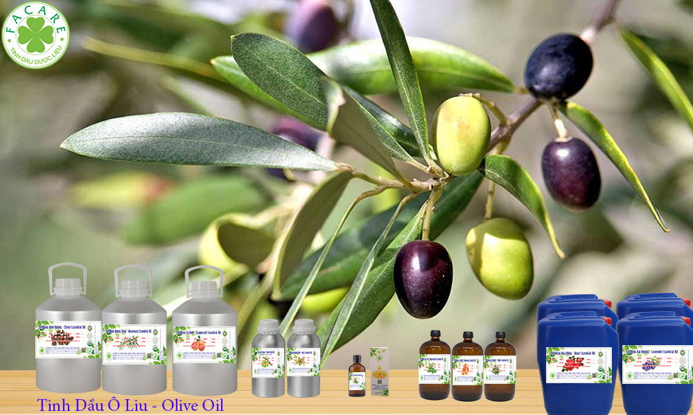 tinh Dầu Ô Liu - Olive Oil