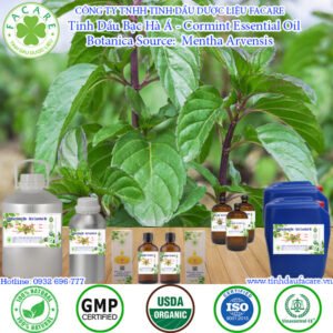 Tinh Dầu Bạc Hà Á – Cormint Essential Oil