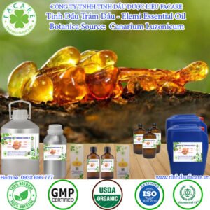 Tinh Dầu Trám Dầu – Elemi Essential Oil