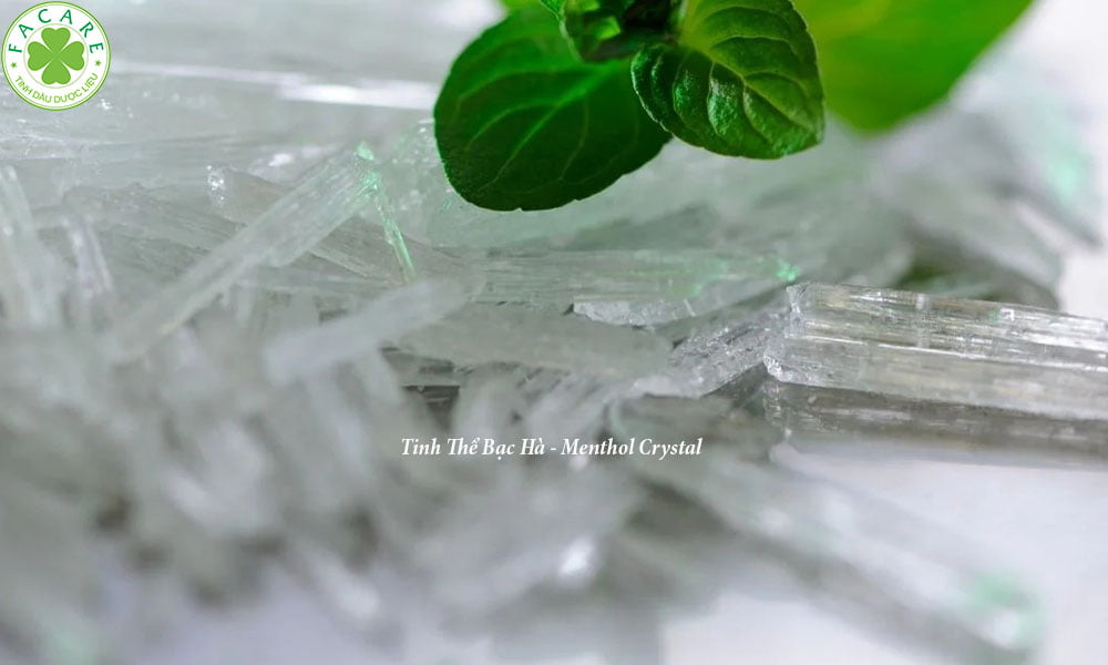 tinh Thể Bạc Hà - Menthol Crystal 