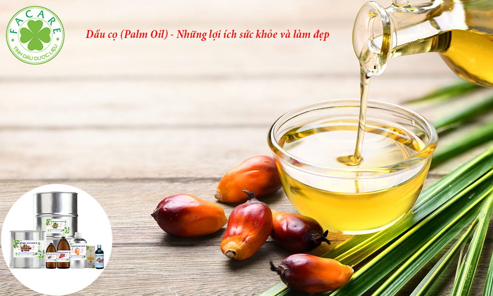 Dầu cọ (Palm Oil) - Những lợi ích sức khỏe và làm đẹp 5