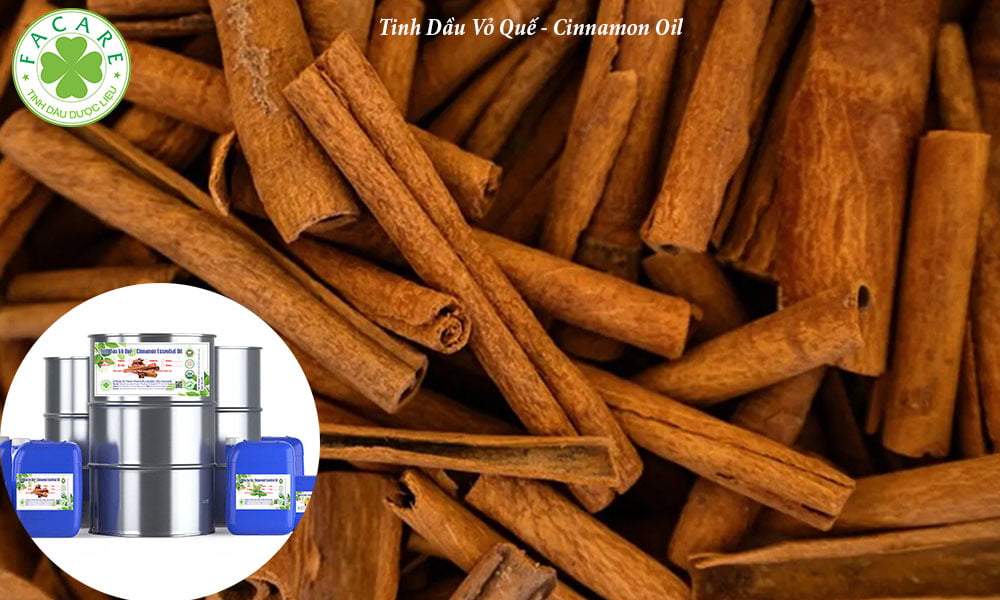 Tinh Dầu Vỏ Quế - Cinnamon Oil