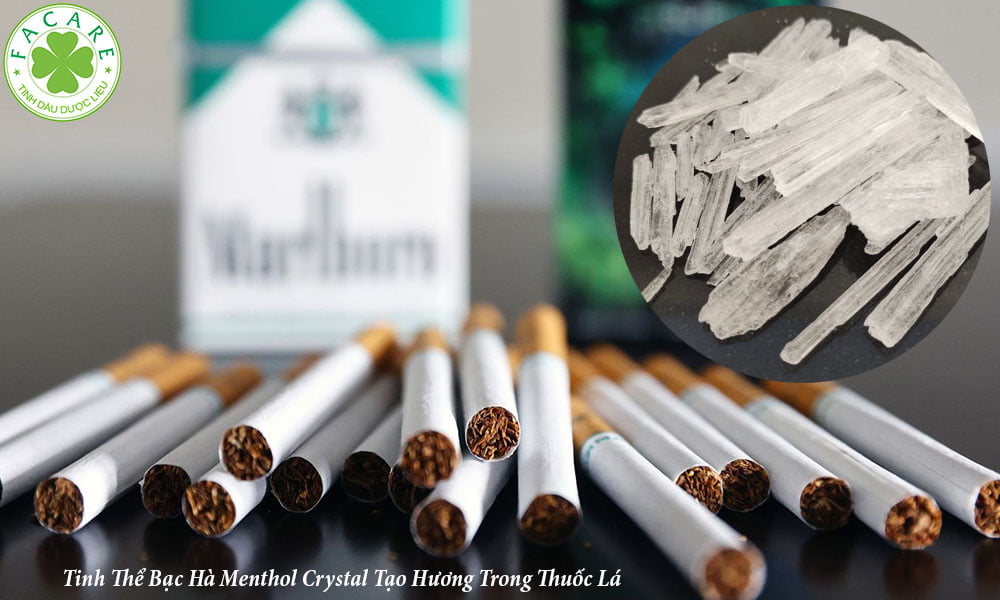 Tinh Thể Bạc Hà Menthol Crystal Tạo Hương Trong Thuốc Lá