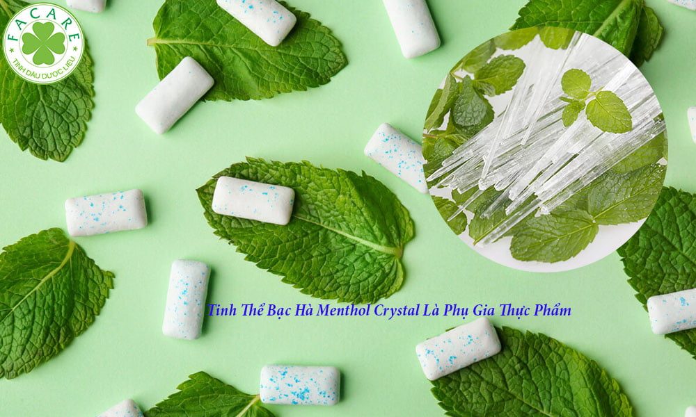 Tinh Thể Bạc hà Menthol Crystal Là Phụ Gia Thực Phẩm