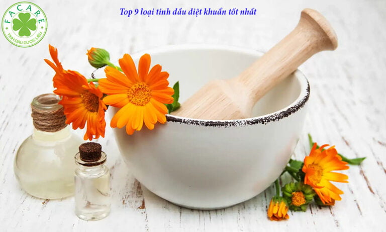 Top 9 loại tinh dầu diệt khuẩn tốt nhất 5