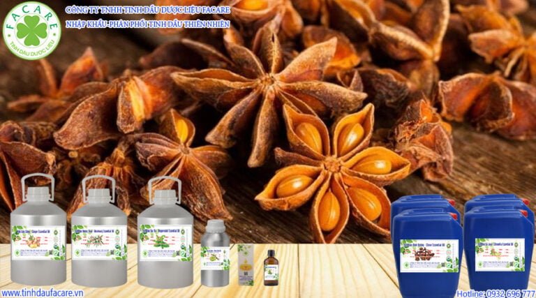 Tinh Dầu Đại Hồi - Star Anise Oil 