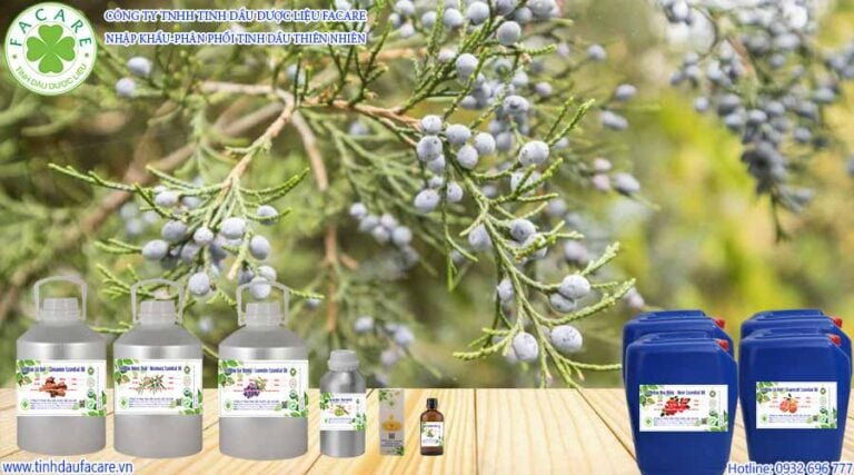 Tinh Dầu Tuyết Tùng - Cedarwood Oil có tác dụng kích thích các nang tóc và tăng lưu thông đến da đầu