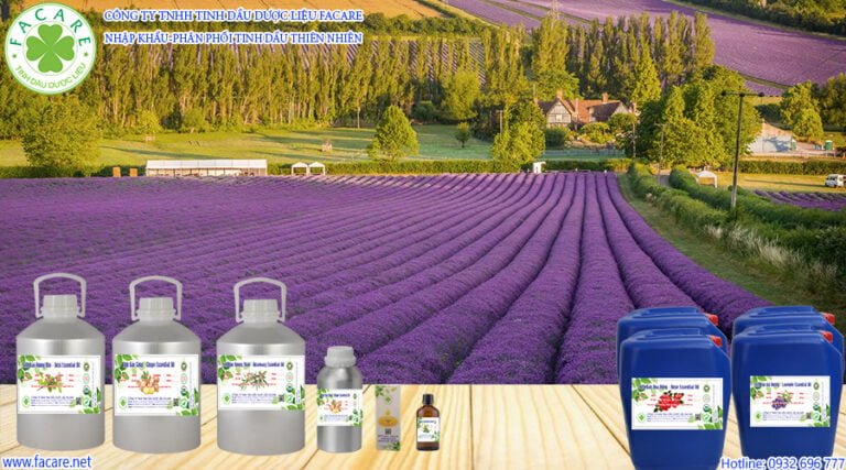 Tinh Dầu Oải Hương - Lavender Oil