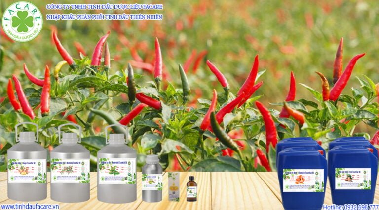 Công Dụng Của Tinh Dầu Ớt - Capsicum Oleoresin