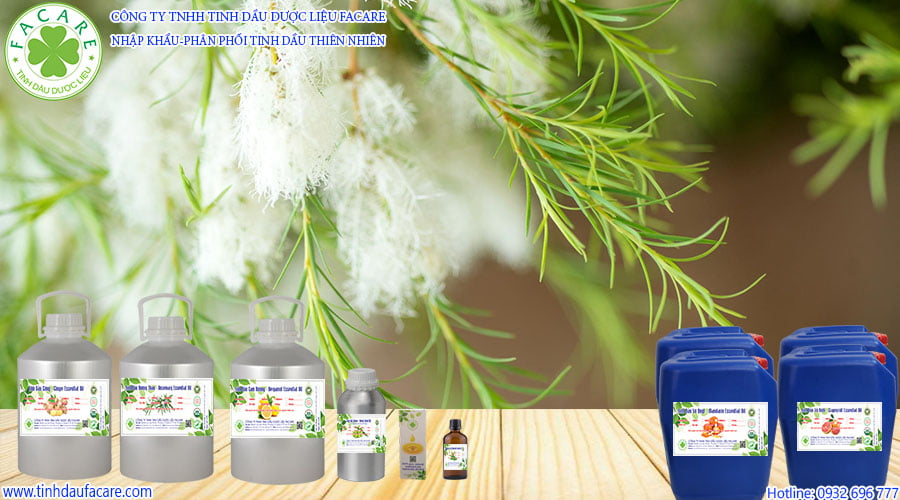 Tinh Dầu Tràm Trà - Tea Tree Oil 1