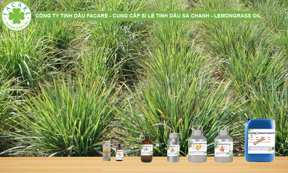 CUNG CẤP SỈ LẺ TINH DẦU SẢ CHANH LEMONGRASS OIL